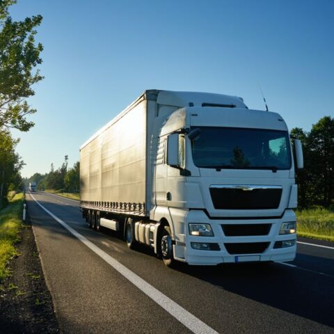 Weißer Lkw im Verkehr auf einer Straße, dahinter blauer Himmel und Sonne hinter Bäumen.