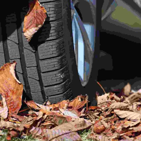 Reifen beim Fahren im Herbst über braunes Laub