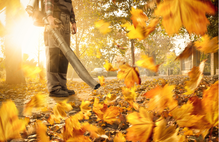 Herbst Laub wer muss es entfernen